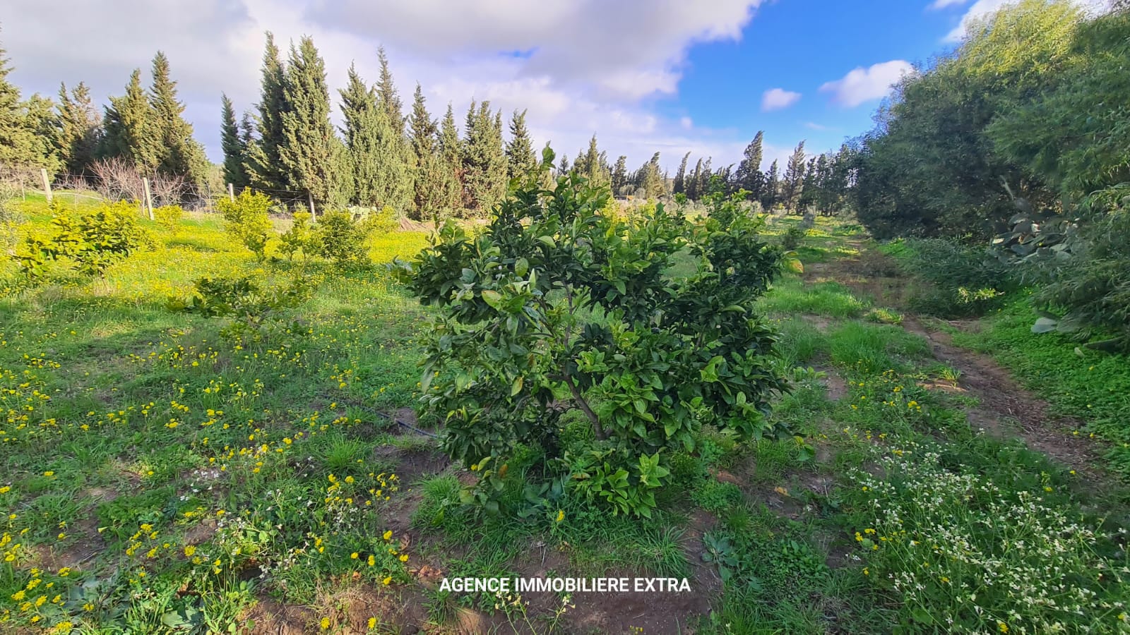 Terrain&nbsp;Terrain nu