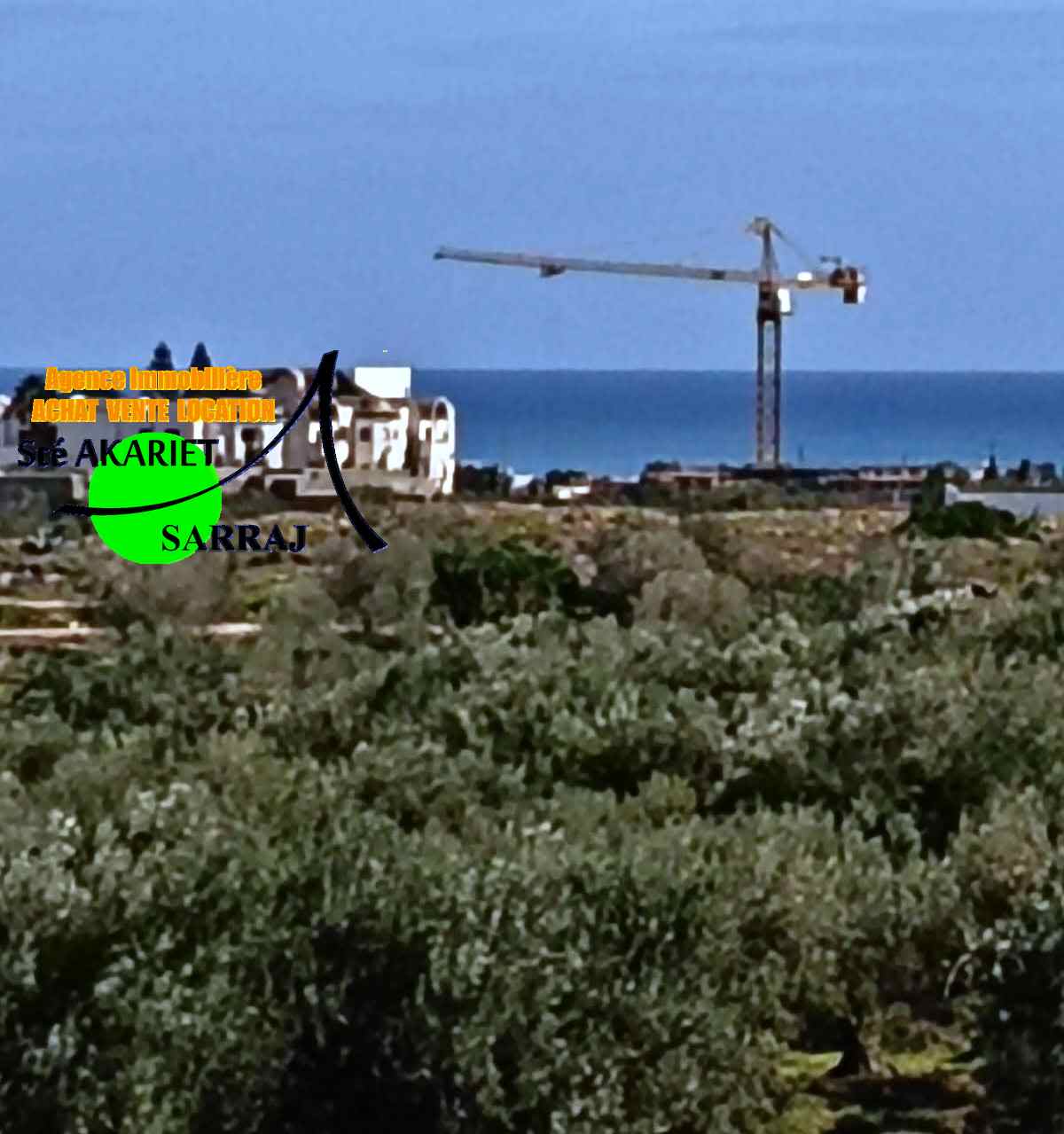 Akouda&nbsp;Akouda&nbsp;Terrain&nbsp;Terrain agricole&nbsp;Lot d'invesstisement 1hectare en face mall sousse