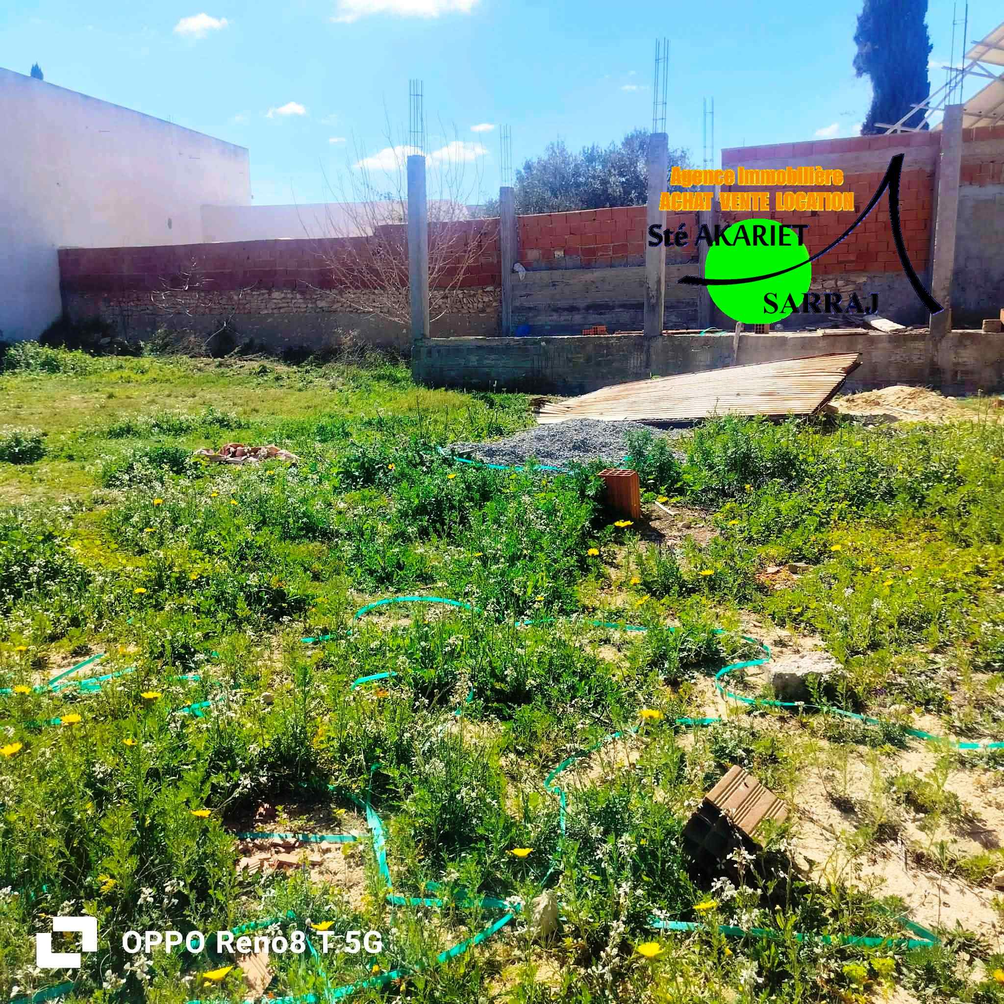 Terrain&nbsp;Terrain nu