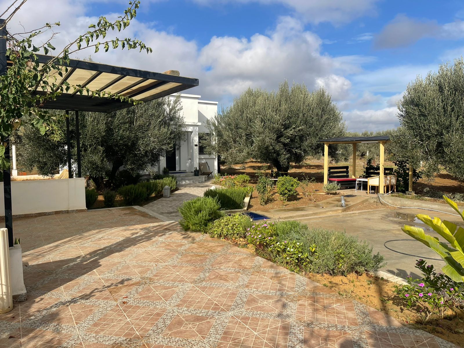 Hammamet&nbsp;Hammamet&nbsp;Terrain&nbsp;Terrain agricole&nbsp;A hammamet sud un lot de terrain de 2450 m2