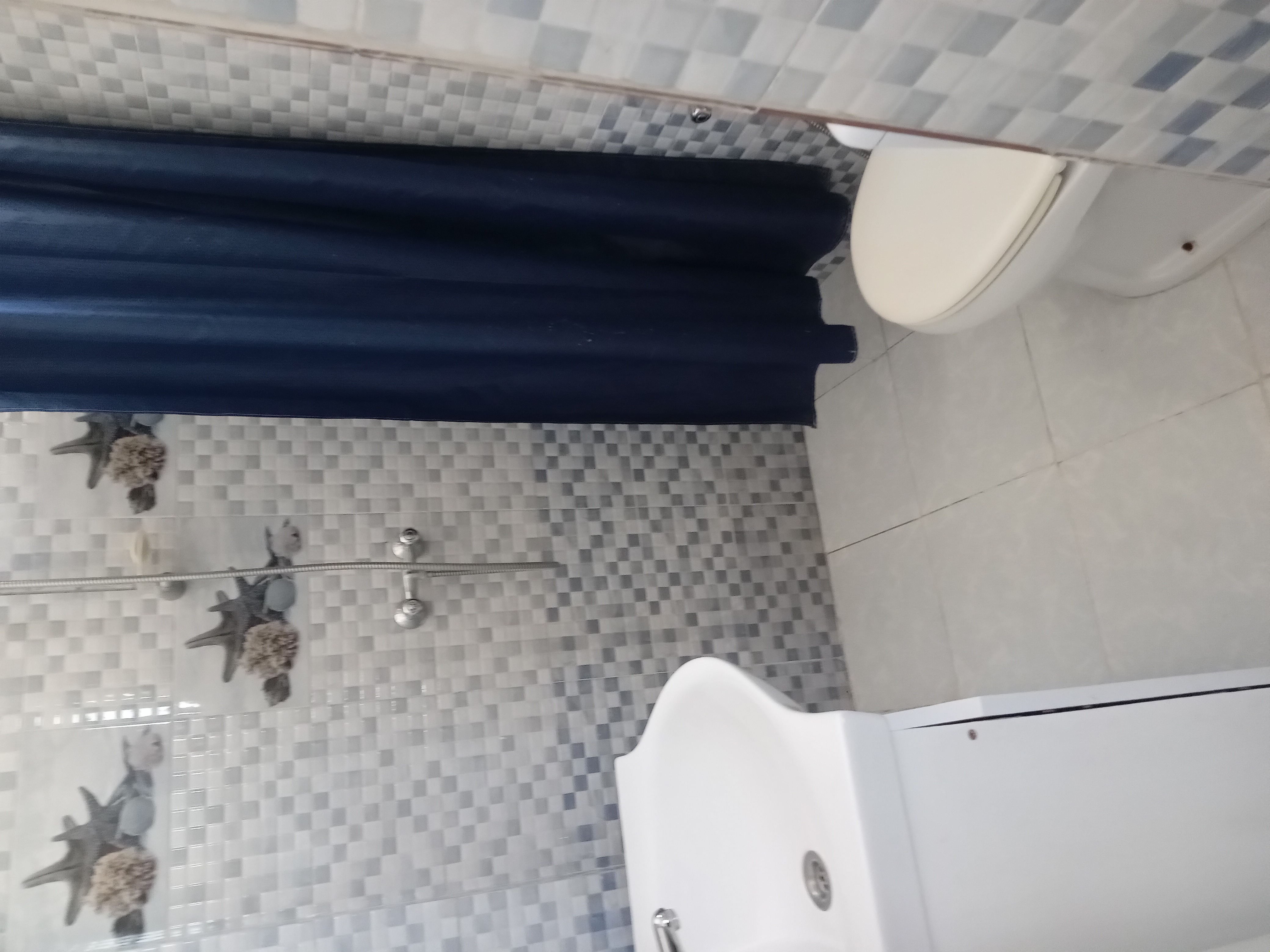 Location&nbsp;Appart. 2 pi�ces