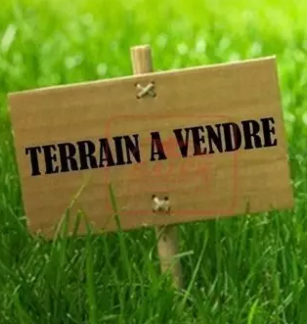 Terrain&nbsp;Terrain nu