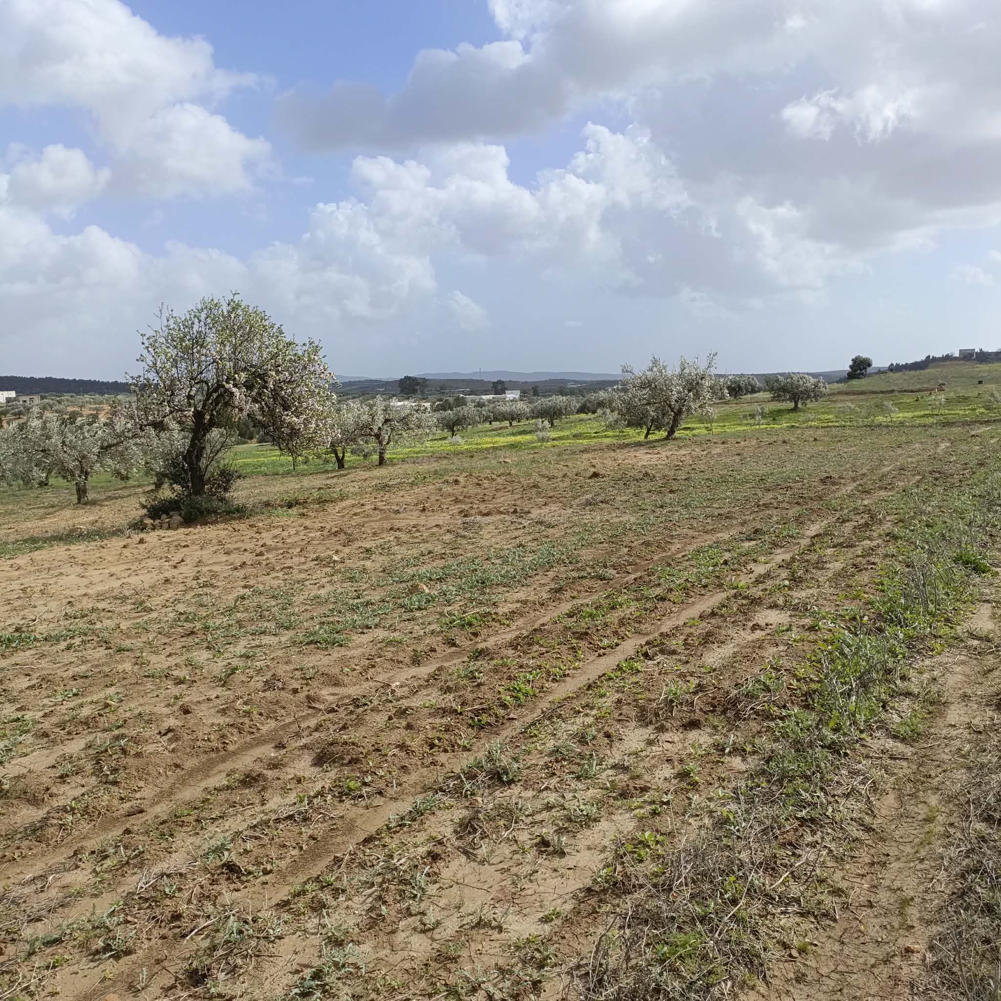 Terrain&nbsp;Terrain agricole