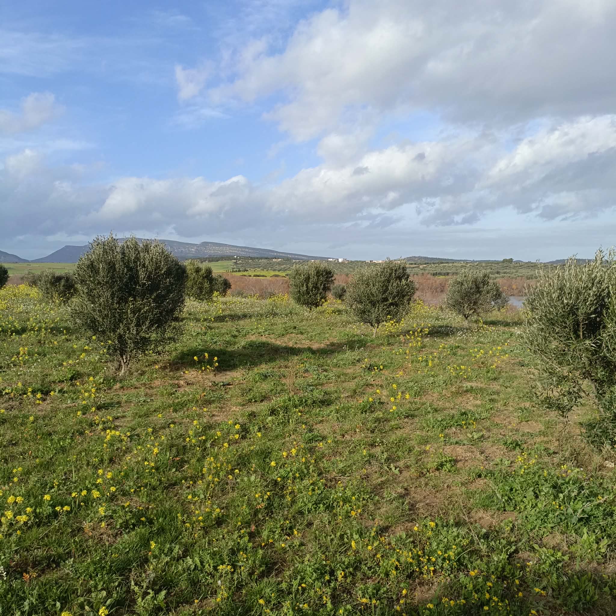 Terrain&nbsp;Terrain agricole