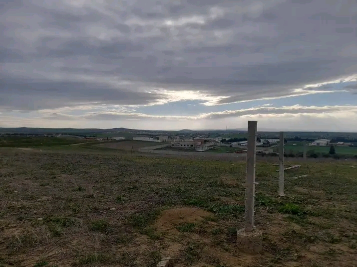 Terrain&nbsp;Terrain nu