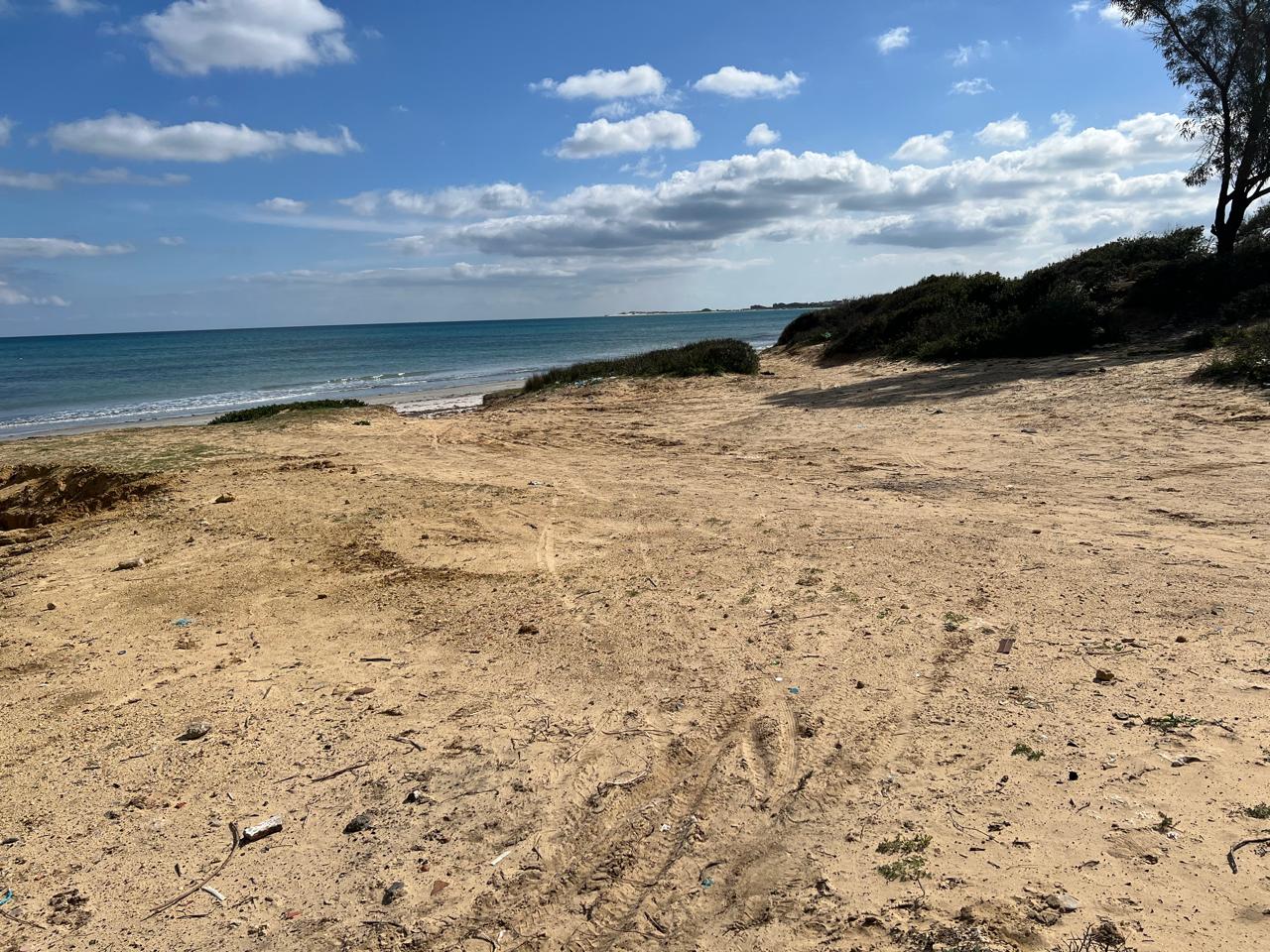 Hammam El Ghezaz&nbsp;Hammam Jebli&nbsp;Terrain&nbsp;Terrain agricole&nbsp;Une bonne affaire terrain � nabeul