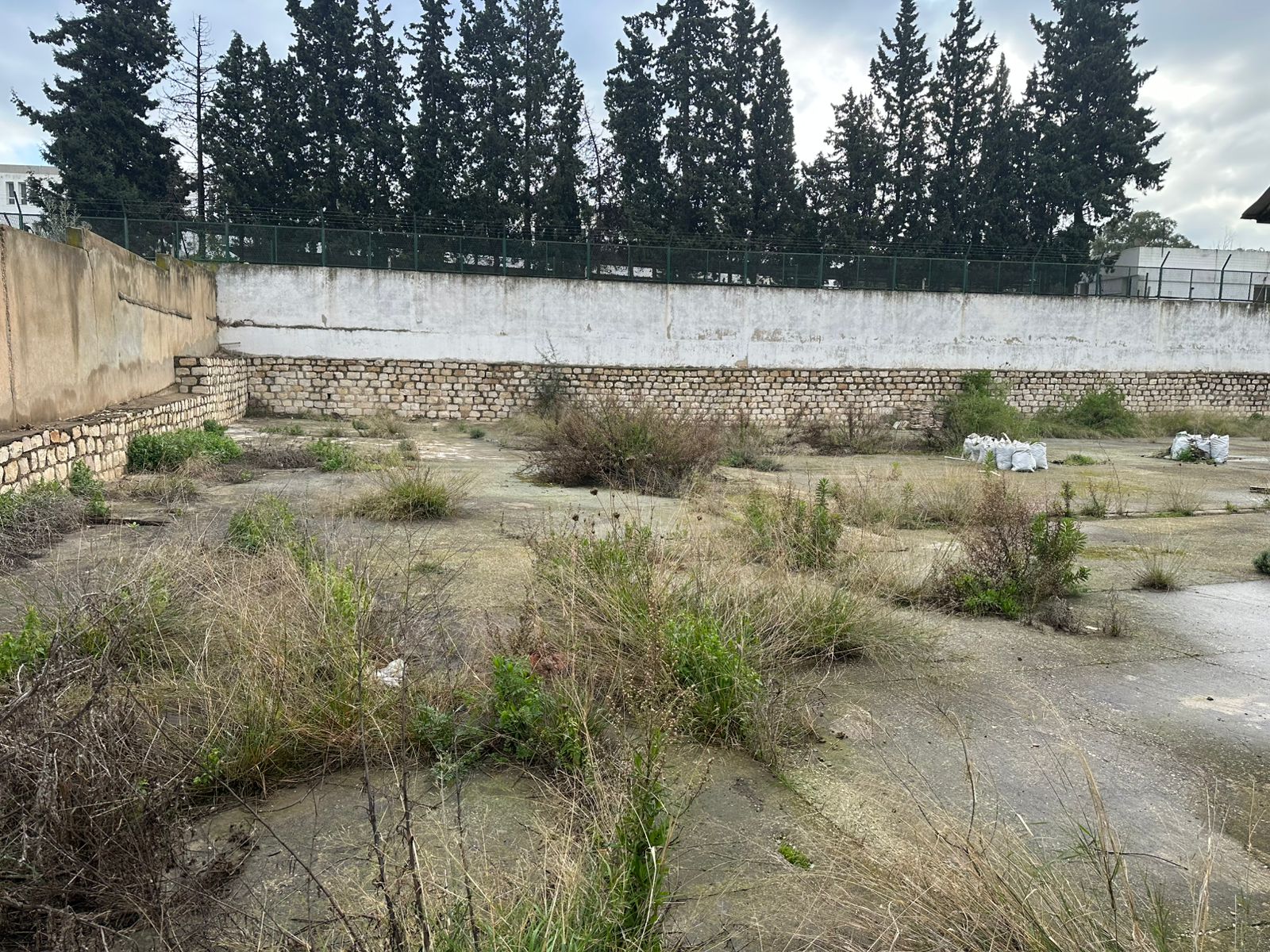 Terrain&nbsp;Terrain nu