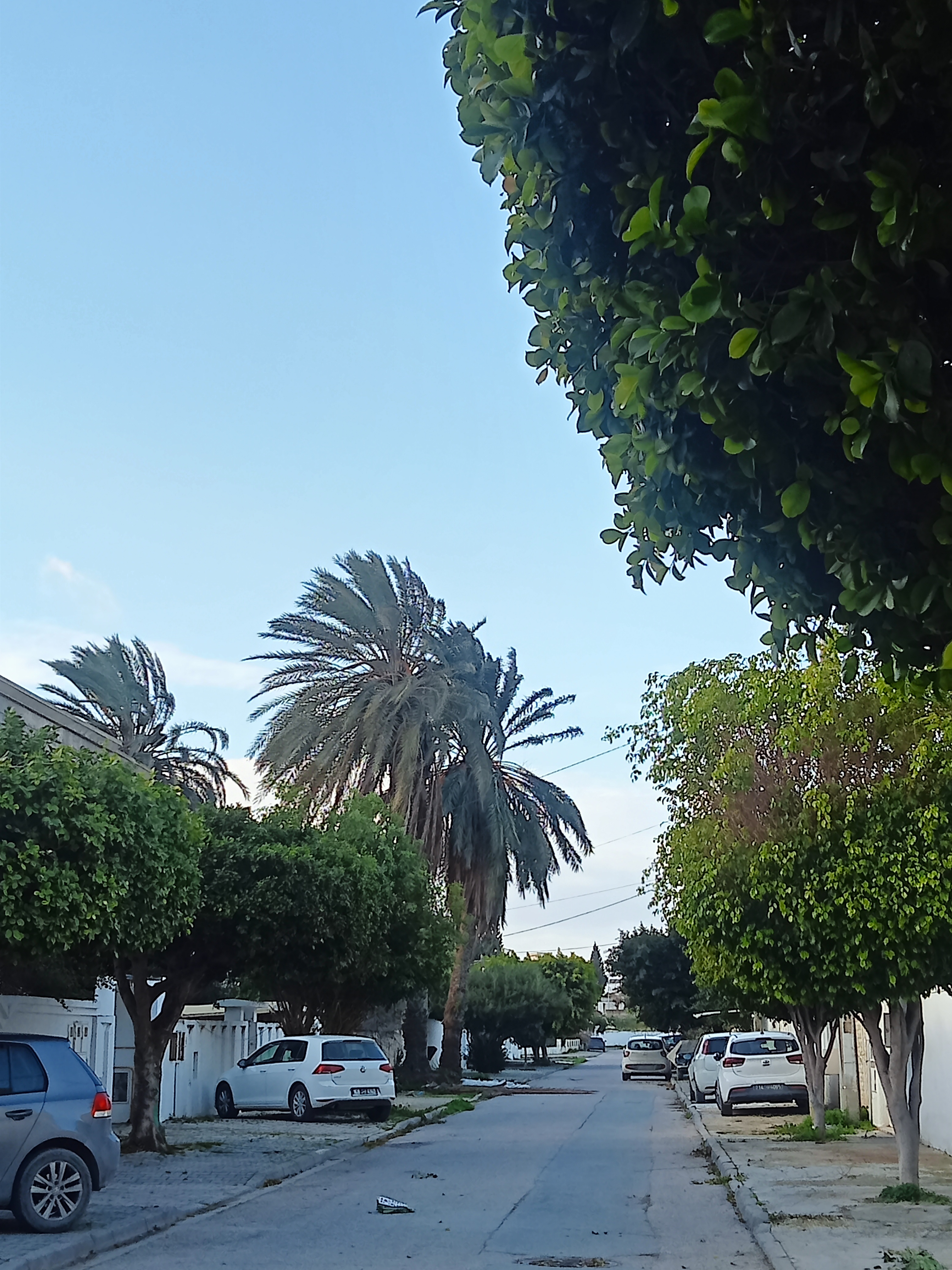 Terrain&nbsp;Terrain nu