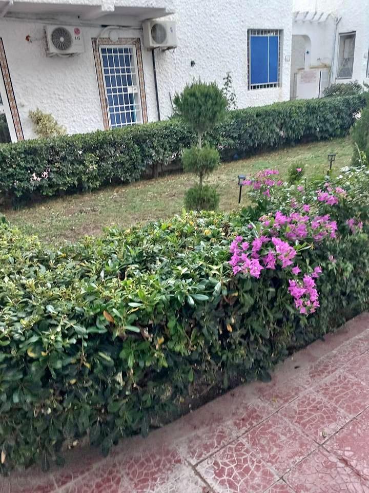 Ariana Ville&nbsp;Cite Ennasr 2&nbsp;Location&nbsp;Appart. 1 pi�ce&nbsp;Jolie  appartement s1