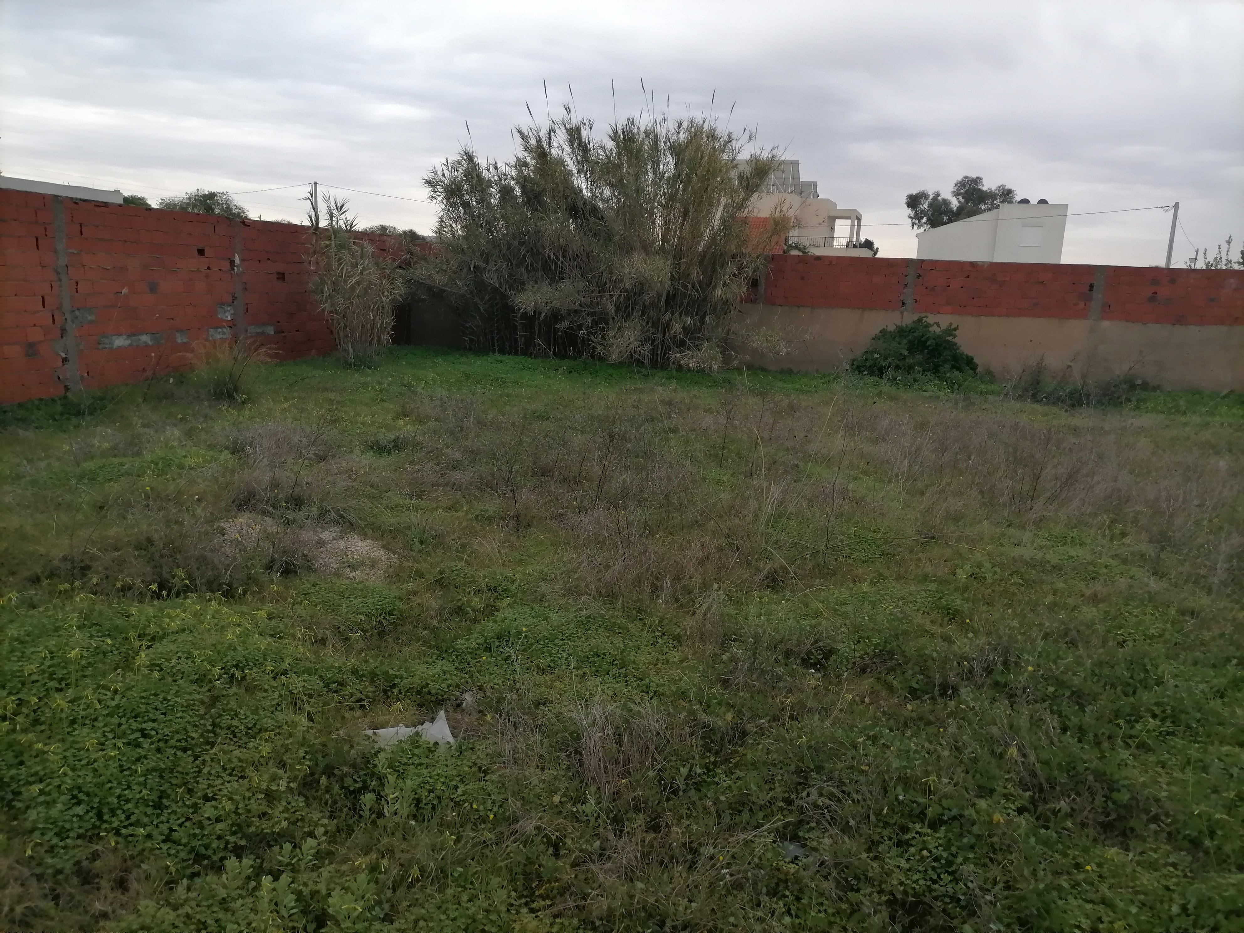 Terrain&nbsp;Terrain nu