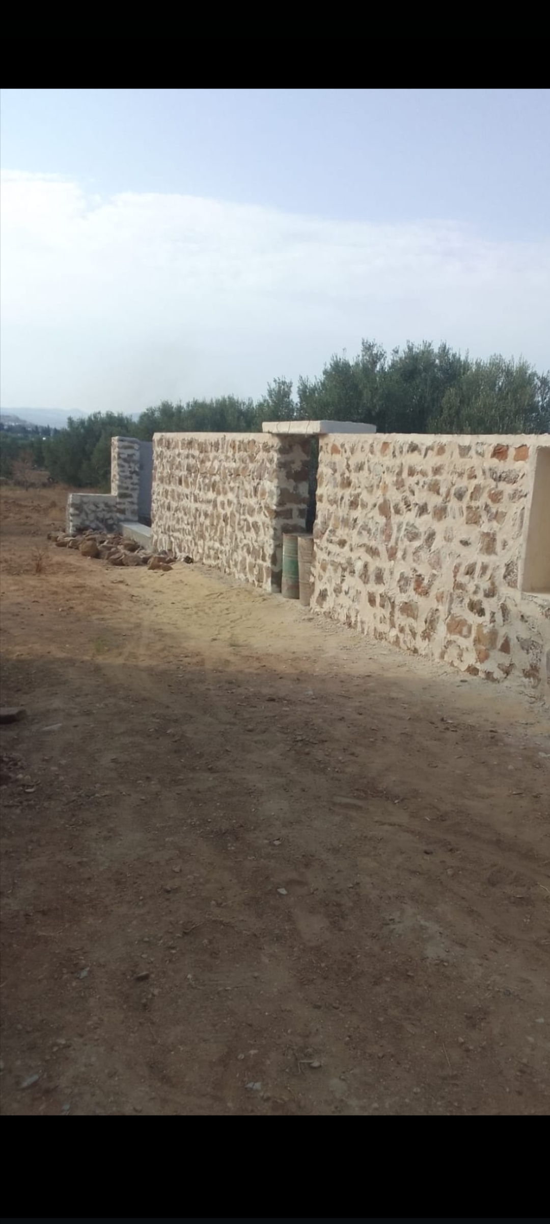 Hammamet&nbsp;Sidi Hmed&nbsp;Terrain&nbsp;Terrain agricole&nbsp;Papier en regle titr bleu