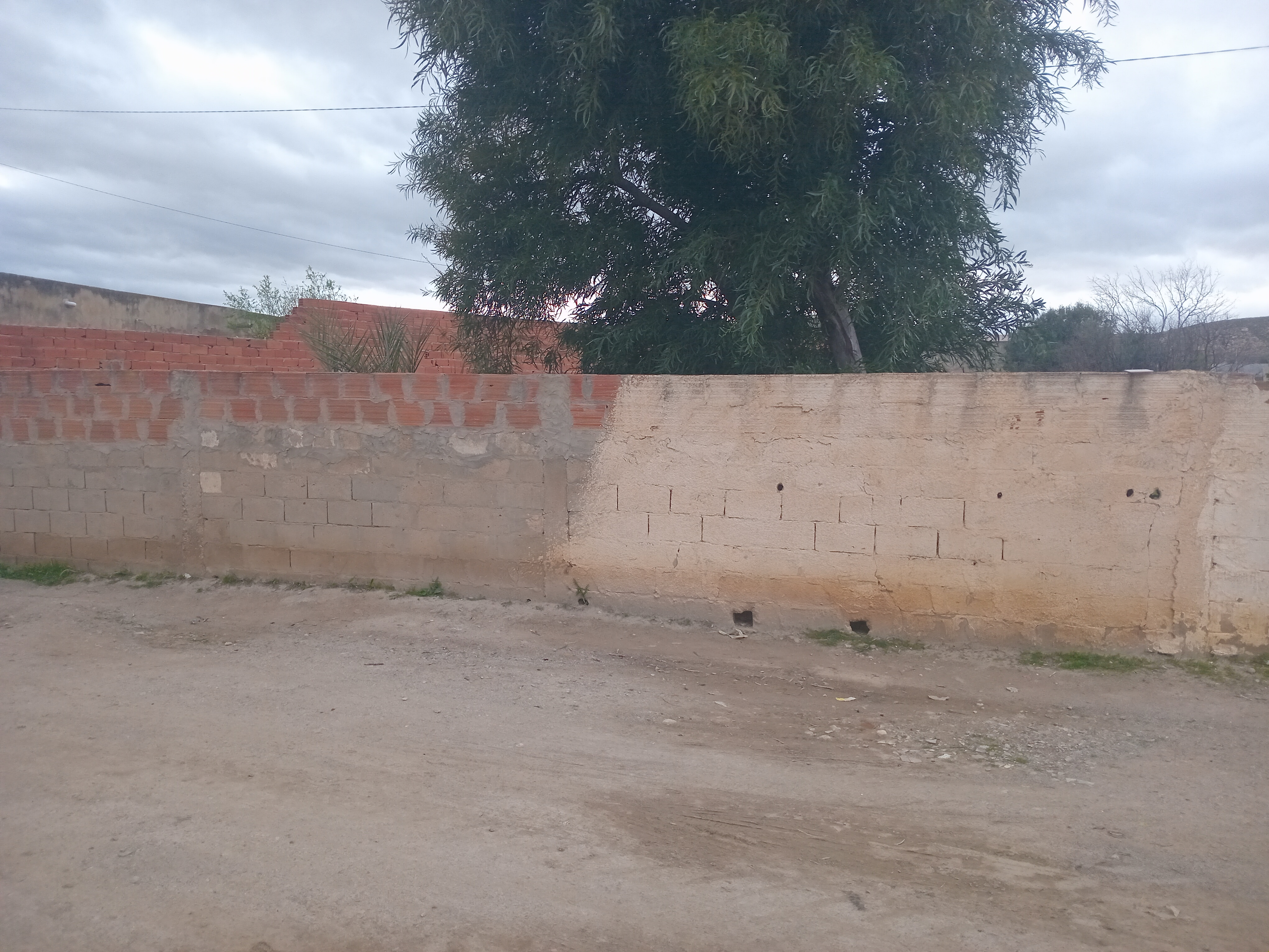 Enfidha&nbsp;Ouled Abdallah&nbsp;Terrain&nbsp;Terrain nu&nbsp;Terrain nu