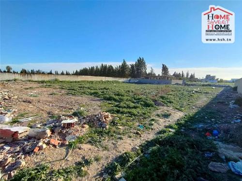 Bou Mhel El Bassatine&nbsp;Bou Mhel&nbsp;Terrain&nbsp;Terrain nu&nbsp;Terrain lavandula  � boumhal