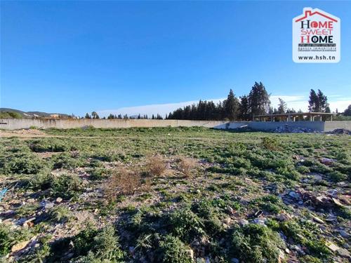 Terrain&nbsp;Terrain nu