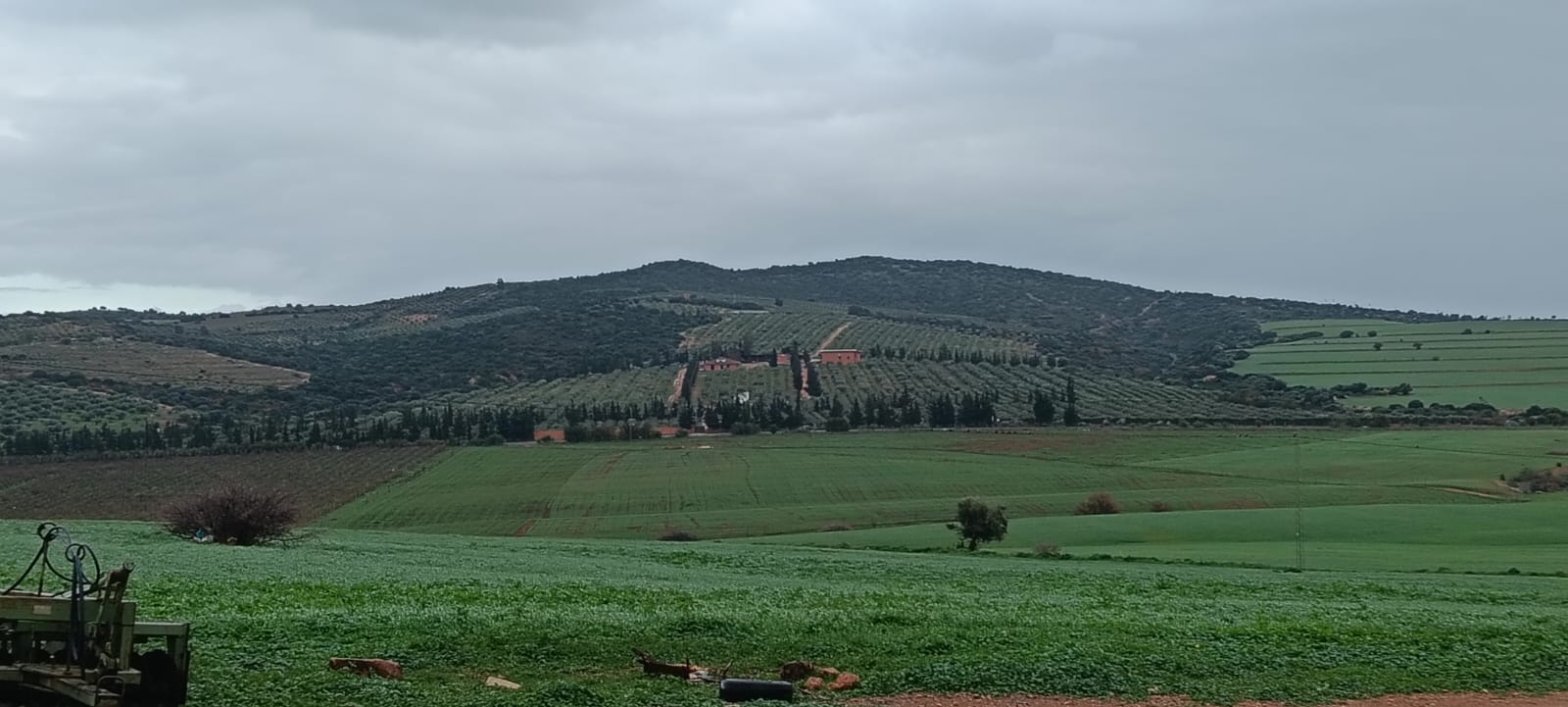 Testour&nbsp;Testour&nbsp;Terrain&nbsp;Terrain agricole&nbsp;Agricole testour