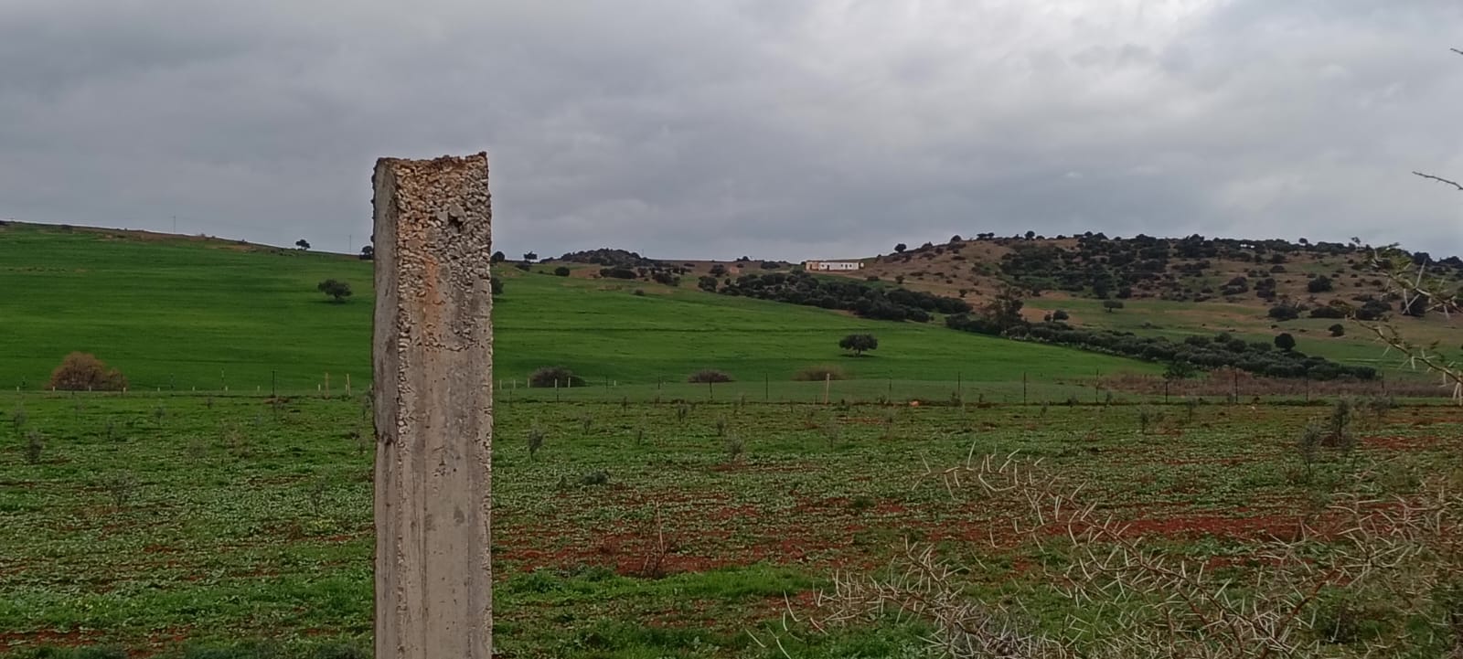 Terrain&nbsp;Terrain agricole