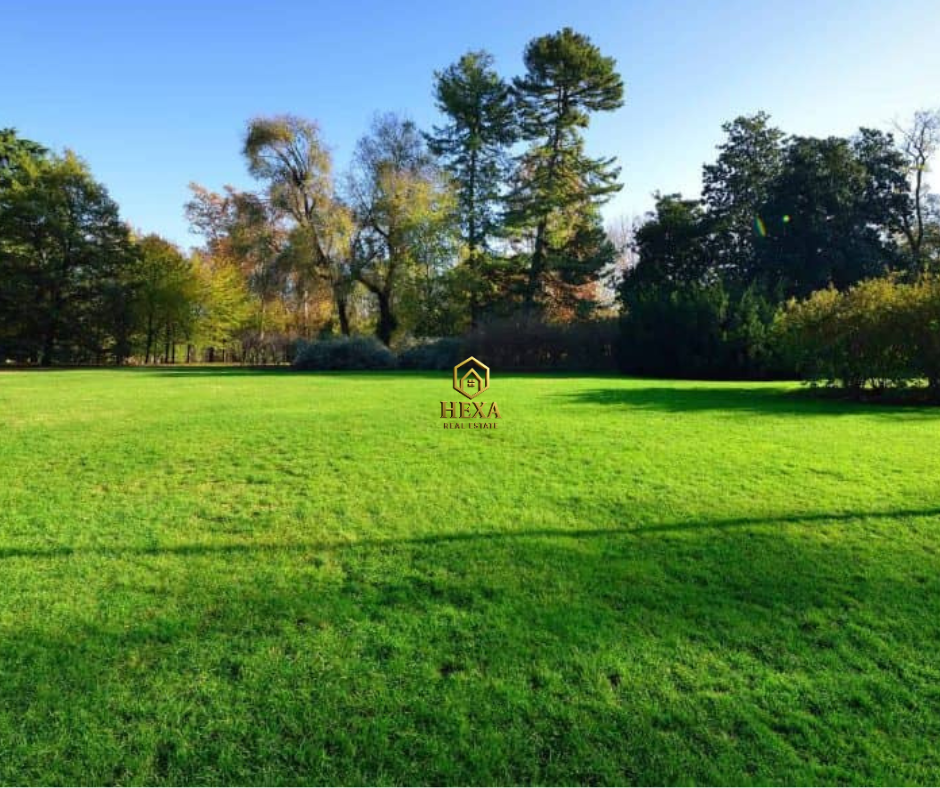 Terrain&nbsp;Terrain nu