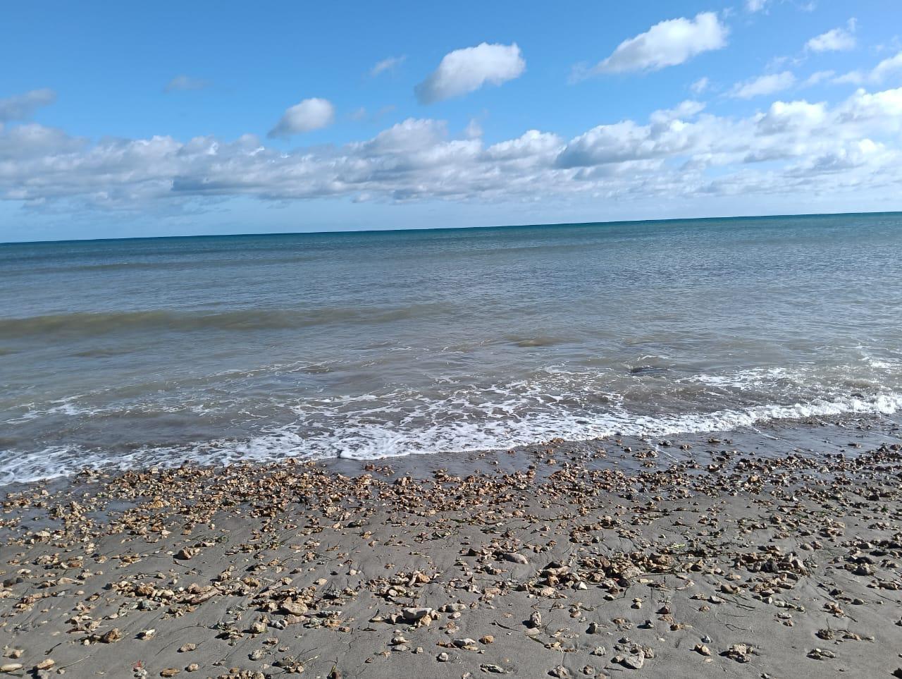 Hammam El Ghezaz&nbsp;Ezzahra&nbsp;Vente&nbsp;Autre&nbsp;Construisez votre maison � deux pas de la plage