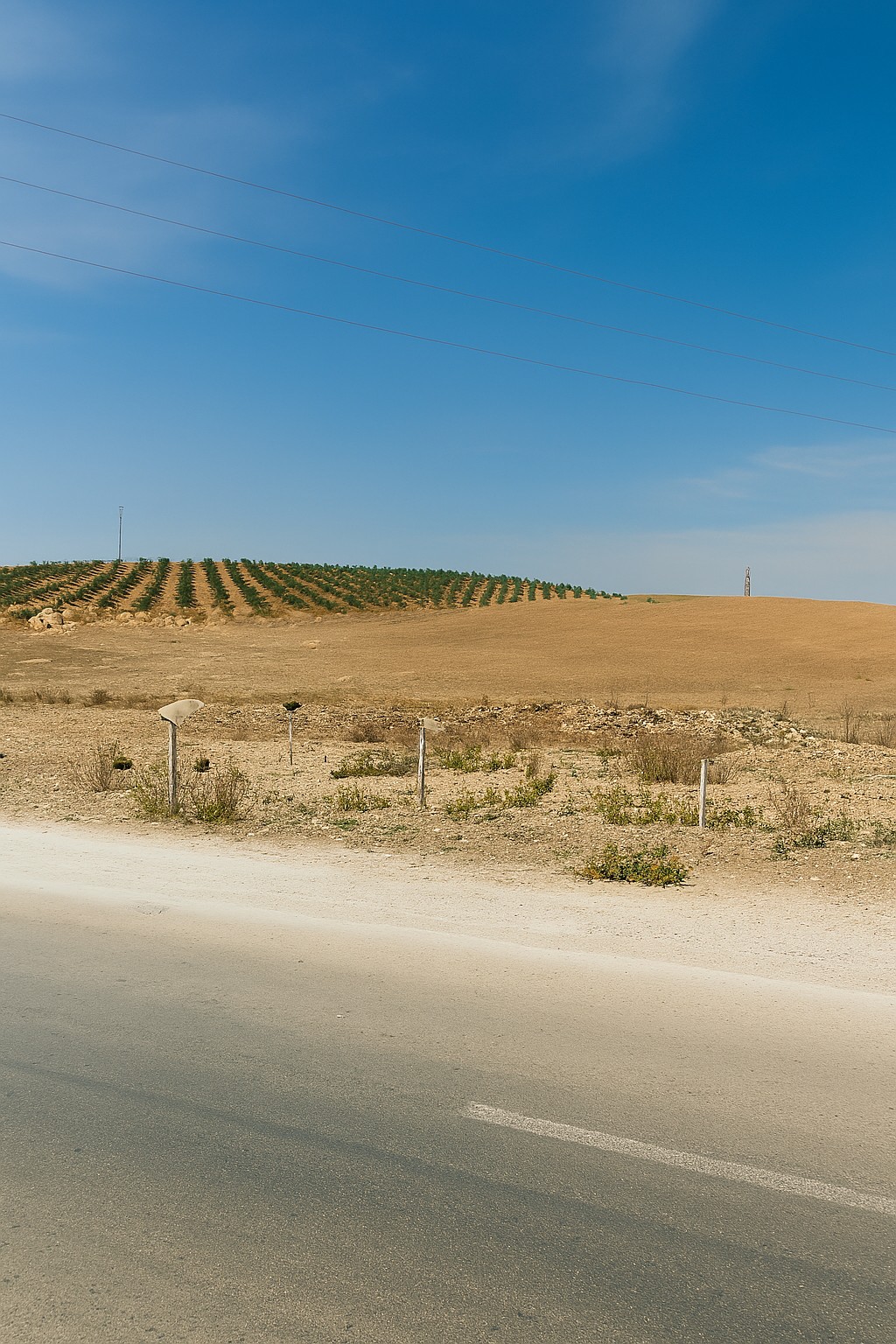 Mohamadia&nbsp;Mohamadia&nbsp;Terrain&nbsp;Terrain nu&nbsp;Terrain industriel � mhamdia