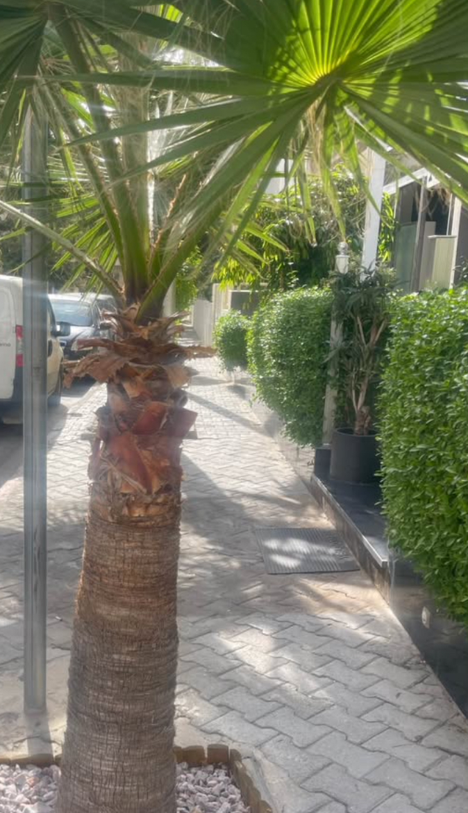 Terrain&nbsp;Terrain nu