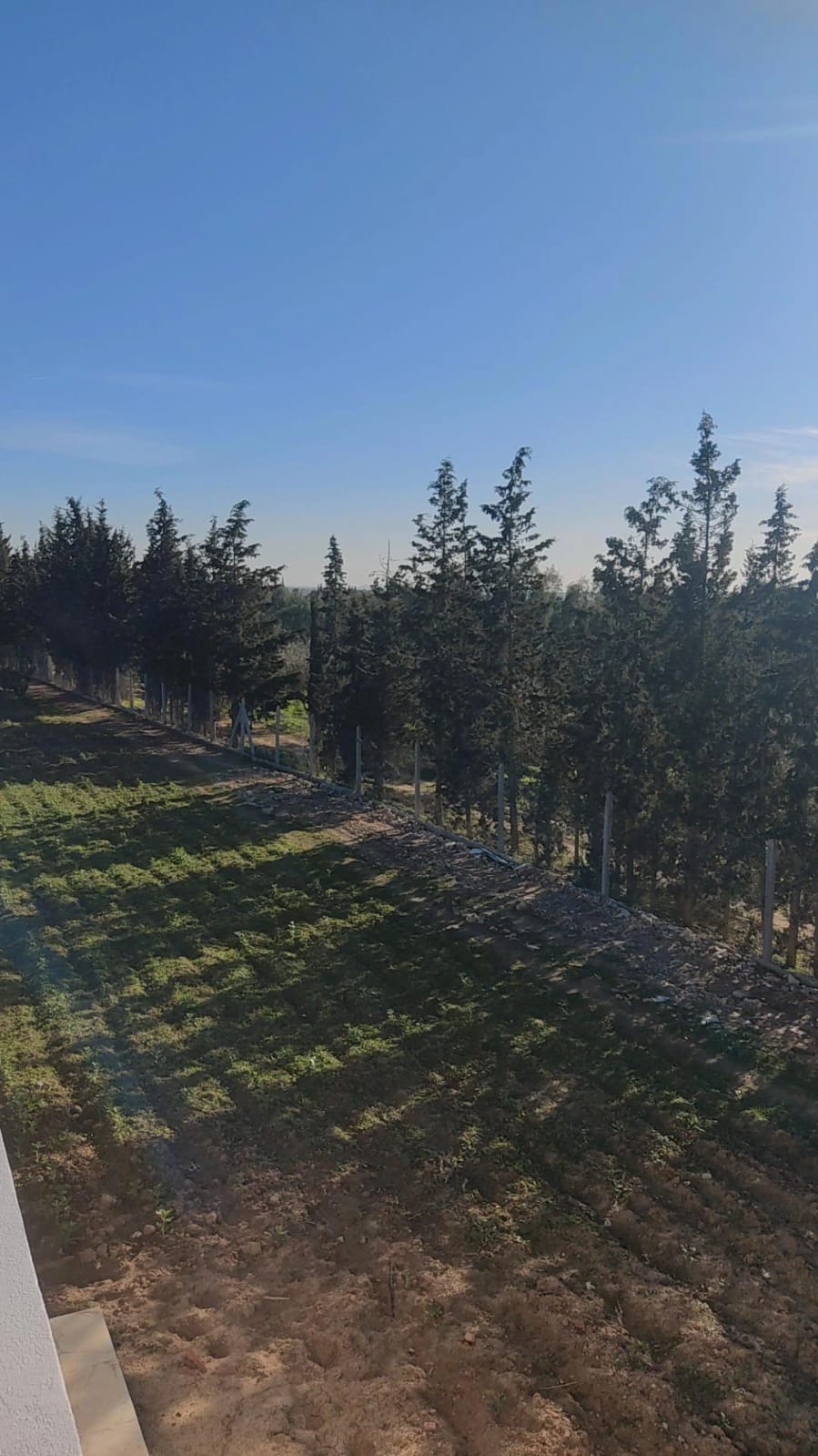 Menzel Bouzelfa&nbsp;Menzel Bouzelfa&nbsp;Terrain&nbsp;Terrain agricole&nbsp;Ferme agricole