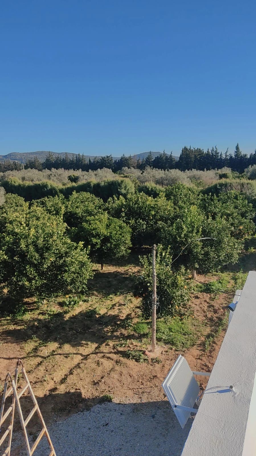 Terrain&nbsp;Terrain agricole