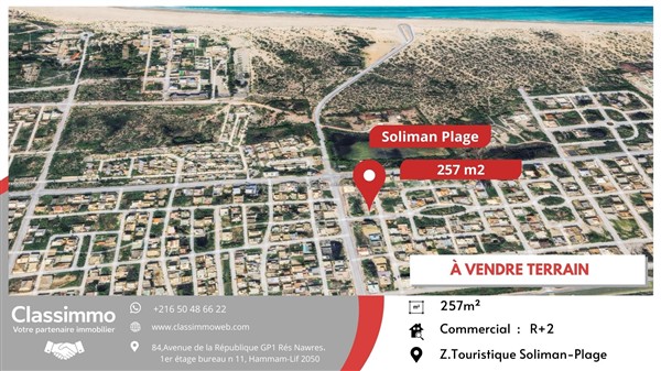 Terrain&nbsp;Terrain nu