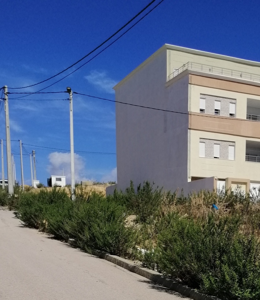 Terrain&nbsp;Terrain nu