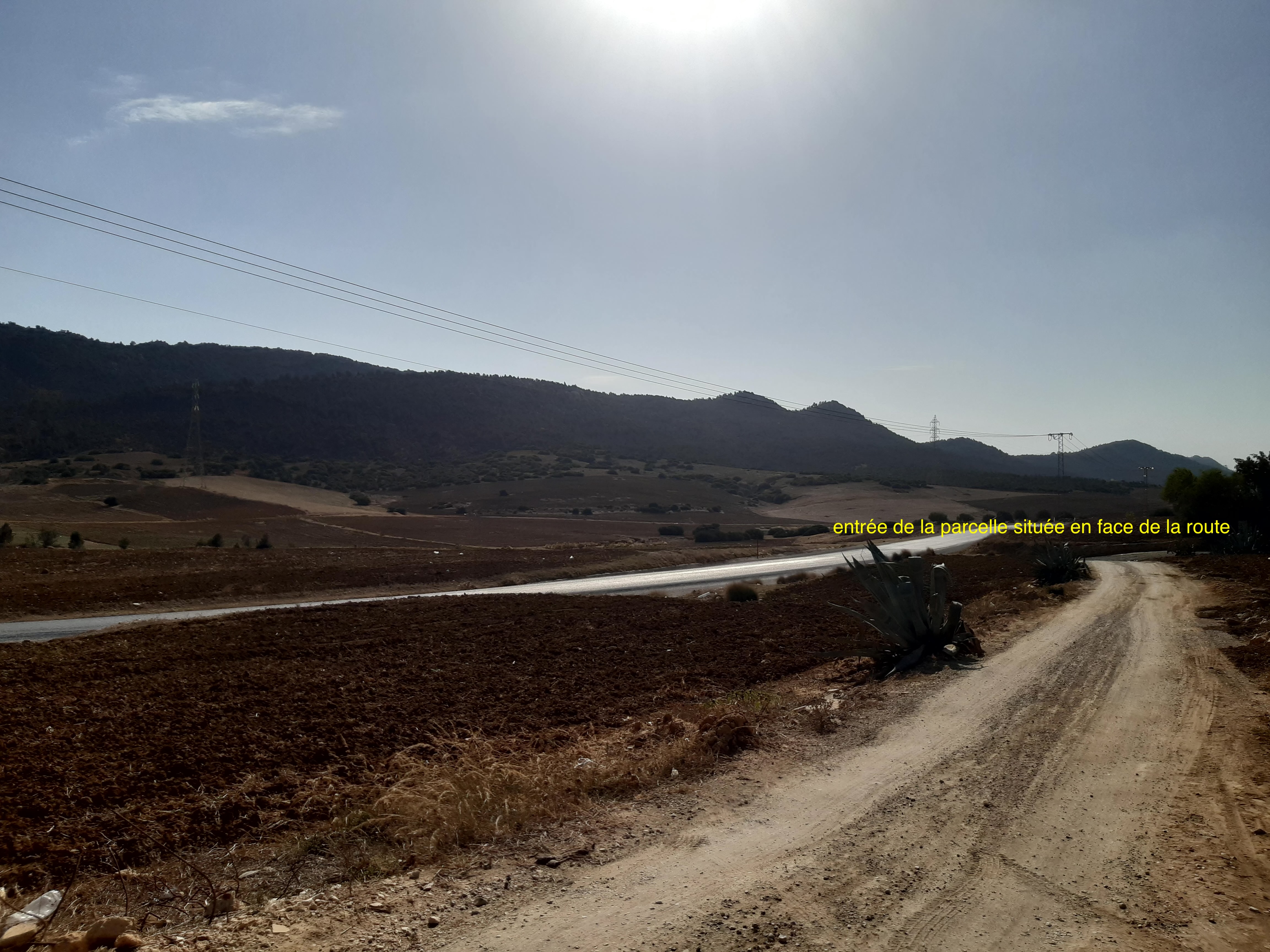 Hammamet&nbsp;Sidi Jedidi&nbsp;Terrain&nbsp;Terrain nu&nbsp;Belle occasion de terrain