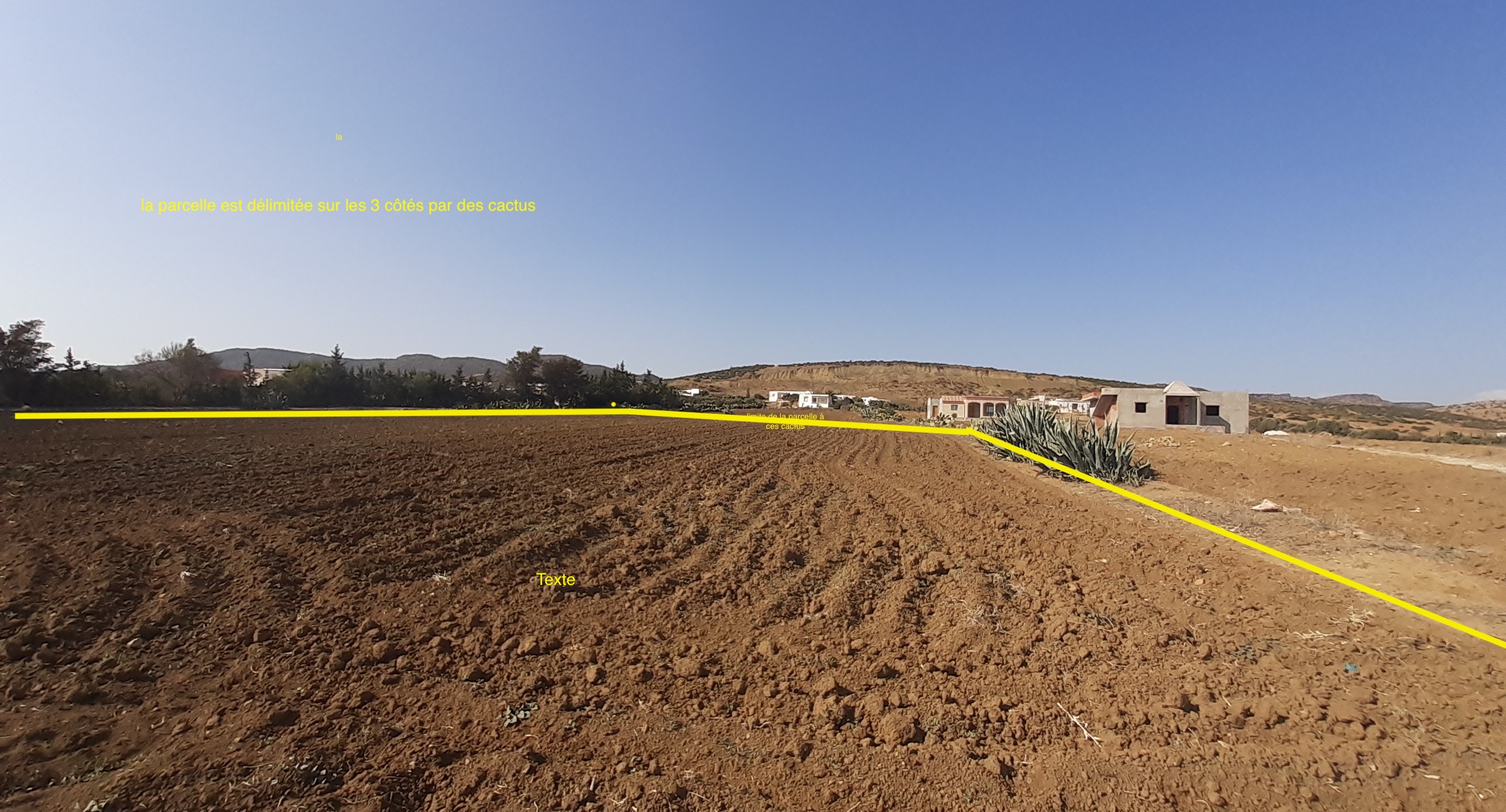 Hammamet&nbsp;Sidi Jedidi&nbsp;Terrain&nbsp;Terrain nu&nbsp;Belle occasion de terrain