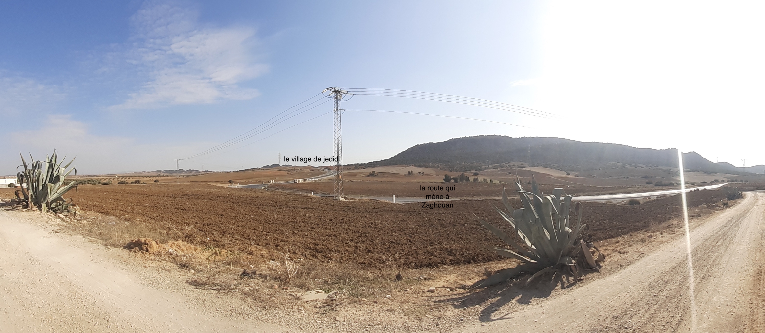 Hammamet&nbsp;Sidi Jedidi&nbsp;Terrain&nbsp;Terrain nu&nbsp;Belle occasion de terrain