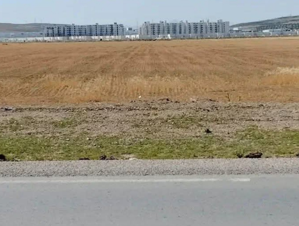 Mornaguia&nbsp;El Fejja&nbsp;Terrain&nbsp;Terrain nu&nbsp;Terrain constructible unique