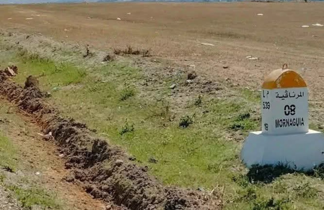 Mornaguia&nbsp;El Fejja&nbsp;Terrain&nbsp;Terrain nu&nbsp;Terrain constructible unique