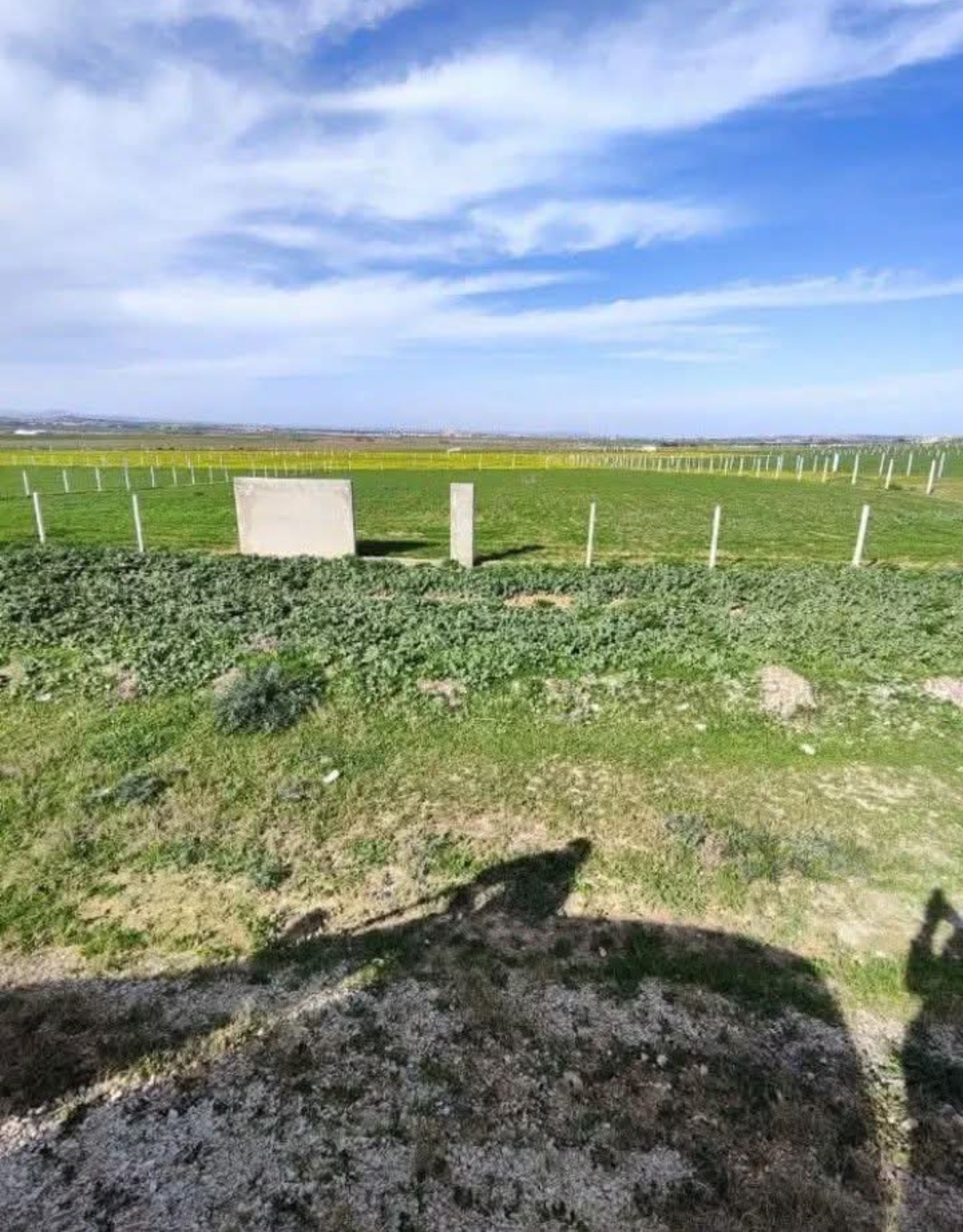 Terrain&nbsp;Terrain nu