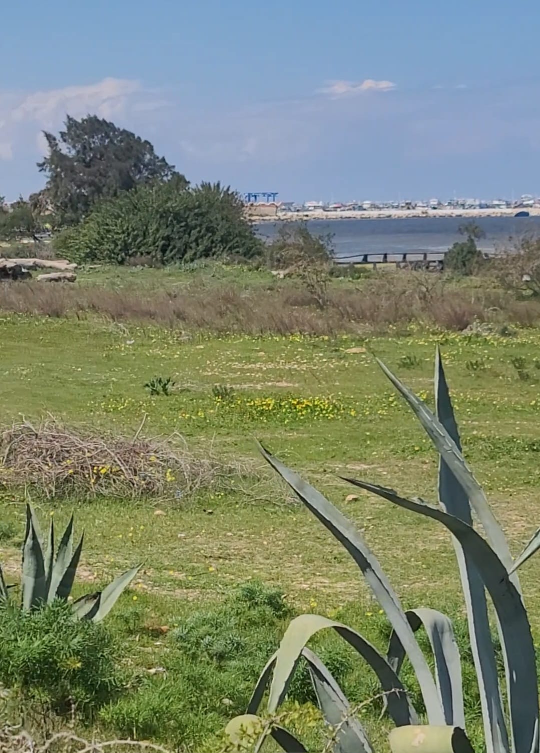 Teboulba&nbsp;Teboulba&nbsp;Terrain&nbsp;Terrain nu&nbsp;Lot de terrain de 886 m2 titr� teboulba