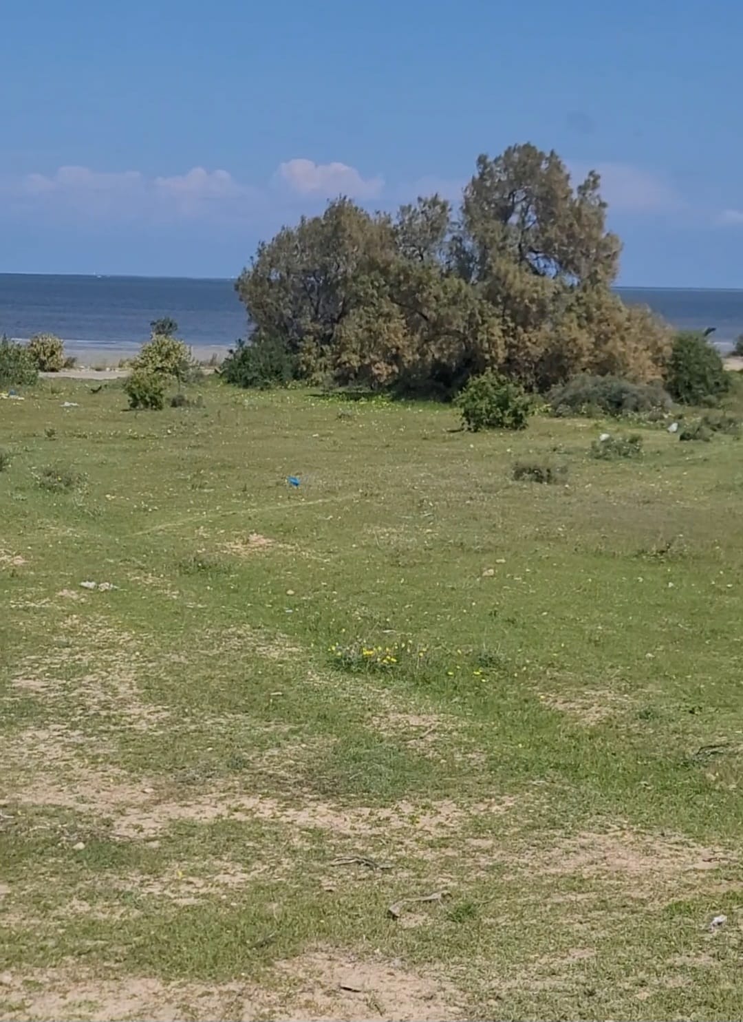 Teboulba&nbsp;Teboulba&nbsp;Terrain&nbsp;Terrain nu&nbsp;Lot de terrain de 886 m2 titr� teboulba