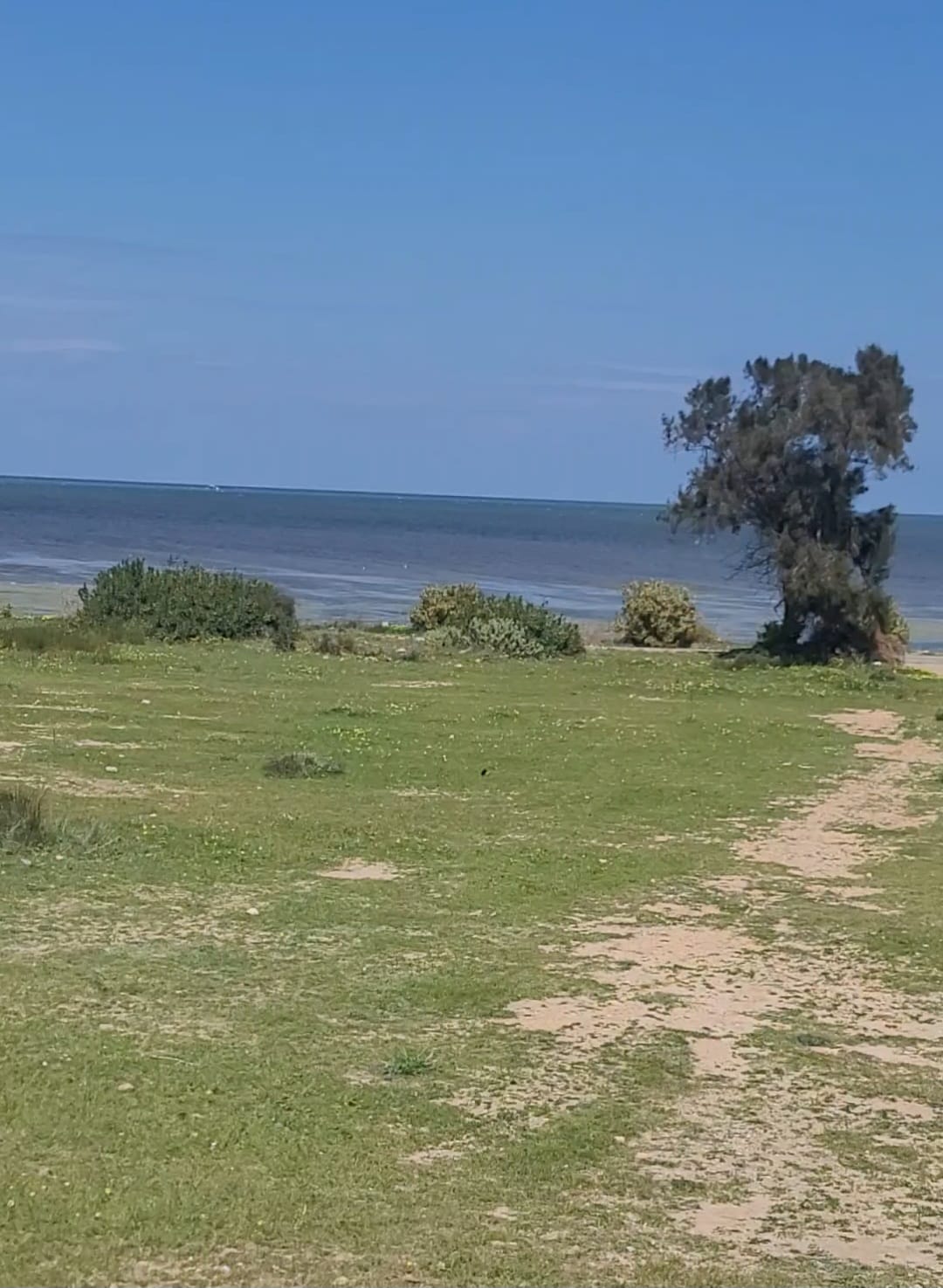 Teboulba&nbsp;Teboulba&nbsp;Terrain&nbsp;Terrain nu&nbsp;Lot de terrain de 886 m2 titr� teboulba