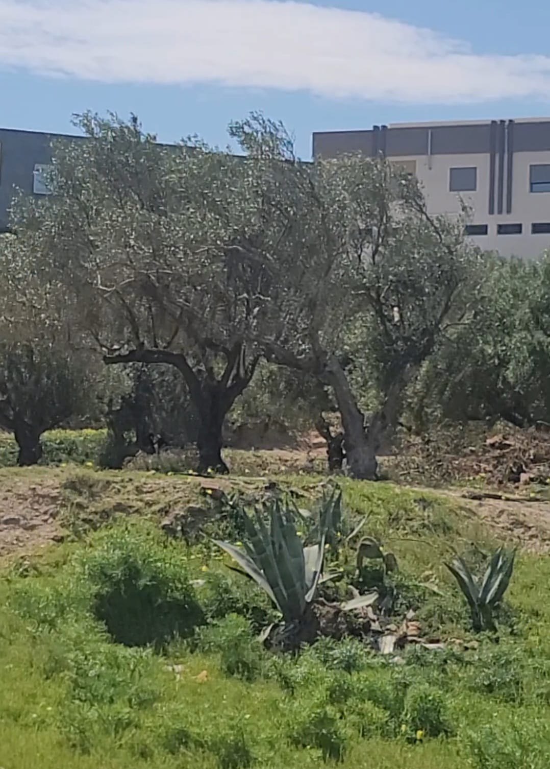 Terrain&nbsp;Terrain nu