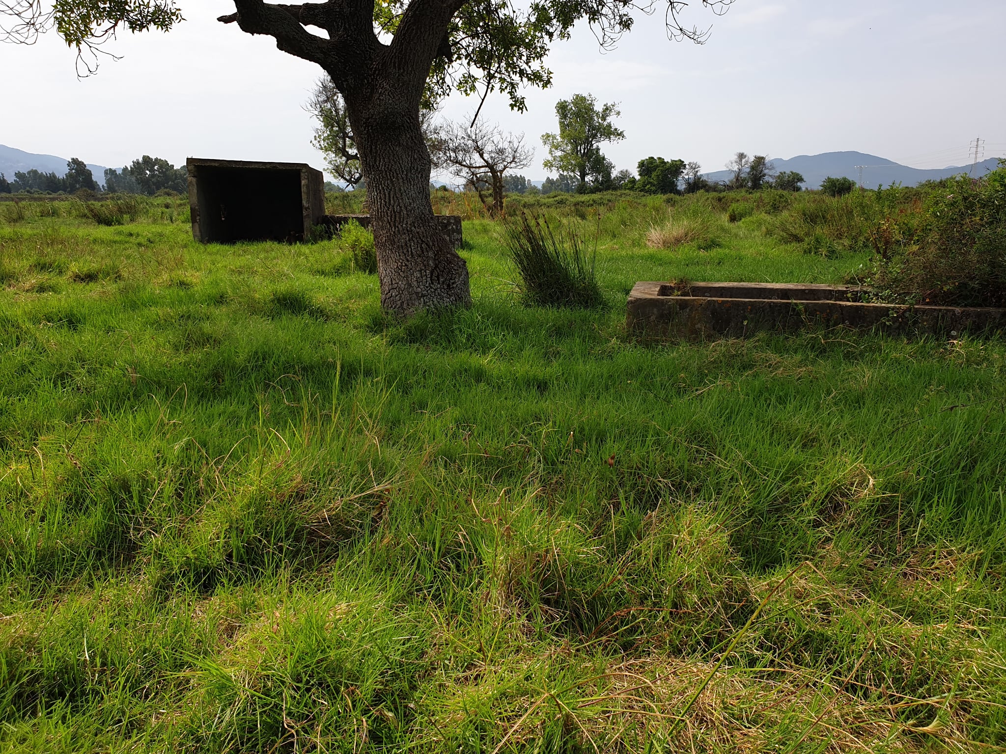 Tabarka&nbsp;Tabarka&nbsp;Terrain&nbsp;Terrain agricole&nbsp;Terrain agricole tabarka