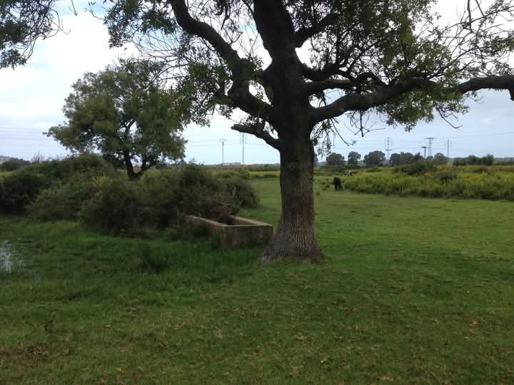 Terrain&nbsp;Terrain agricole