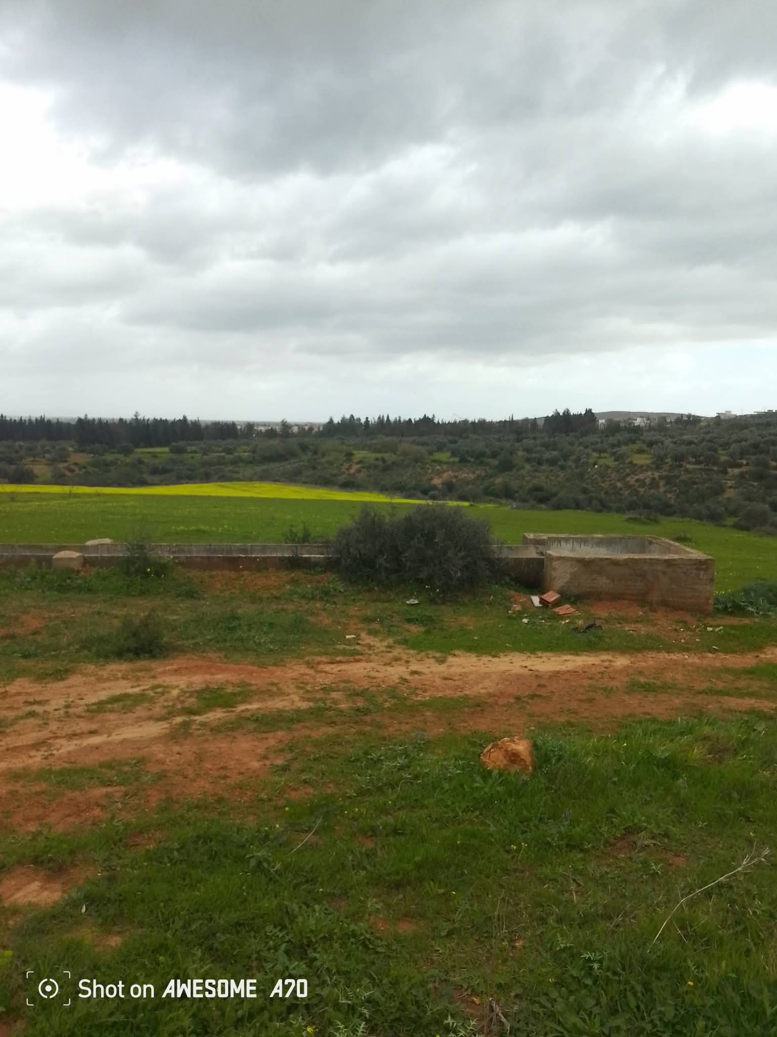 Sidi Thabet&nbsp;Sidi Thabet&nbsp;Terrain&nbsp;Terrain agricole&nbsp;Terrain de 1 hectare � sidi thabet jabbes