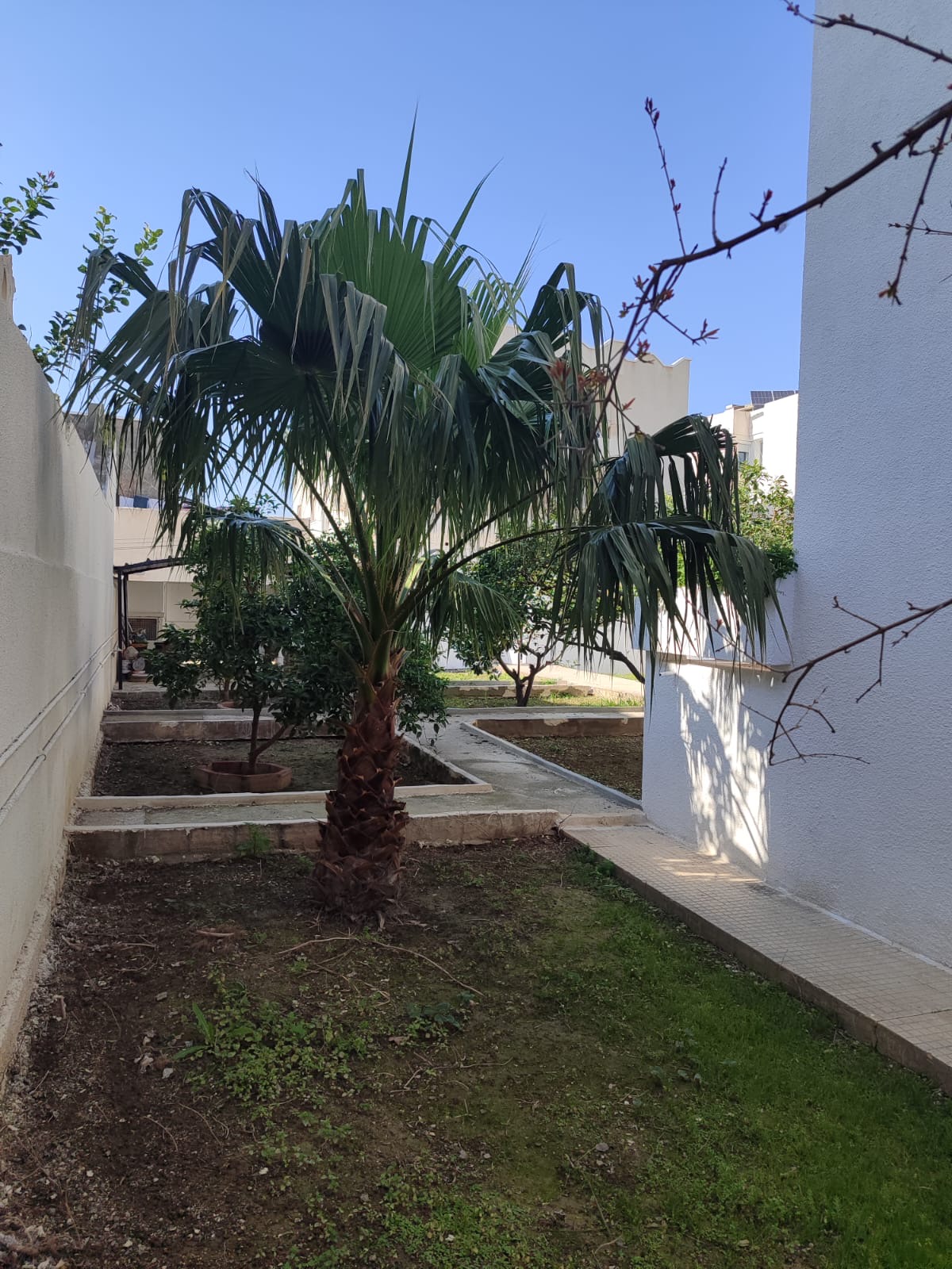 Hammam Chatt&nbsp;Hammam Chatt&nbsp;Vente&nbsp;Maisons&nbsp;Superbe villa bon emplacement