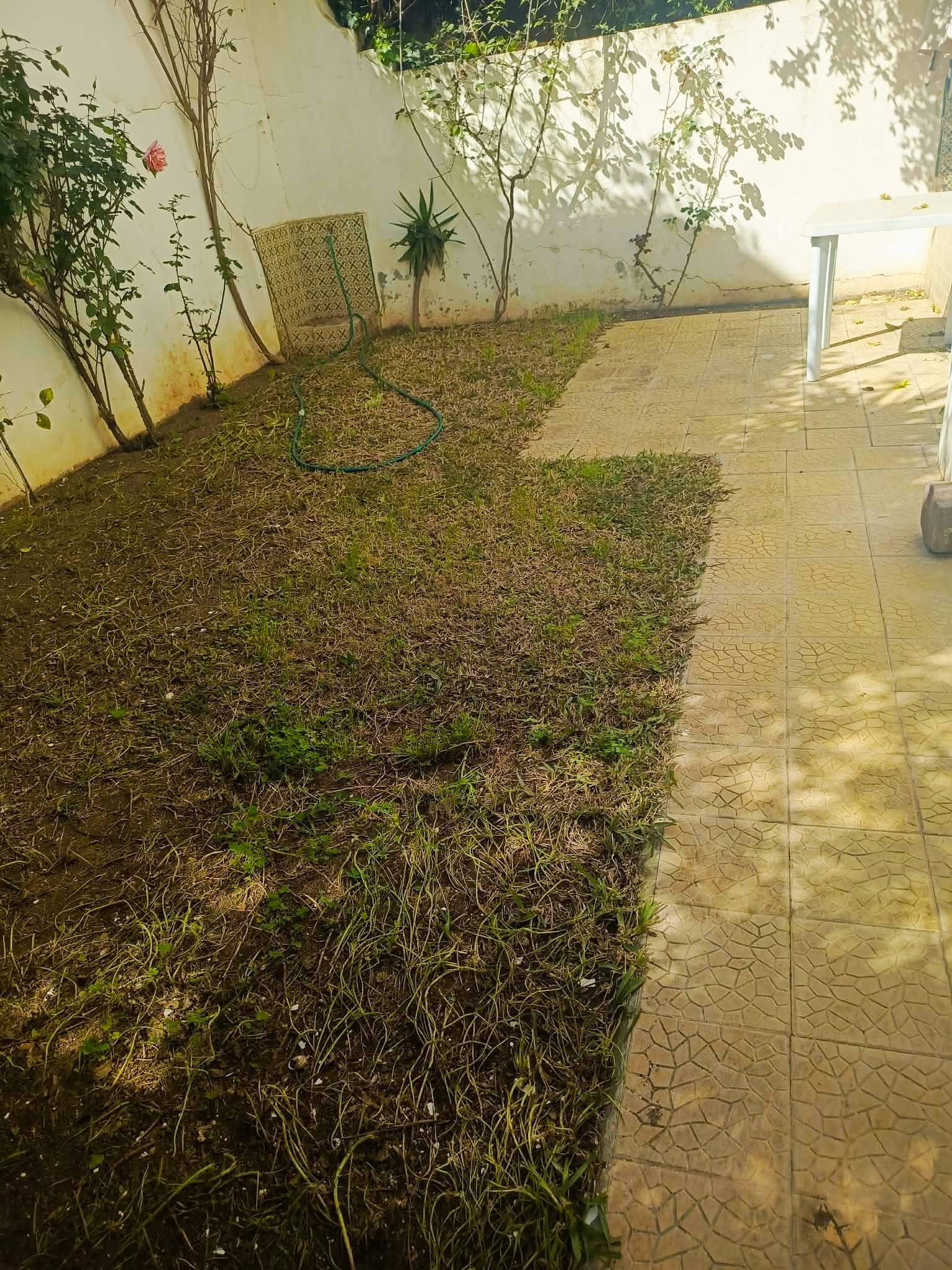 Location&nbsp;Appart. 5 pi�ces+