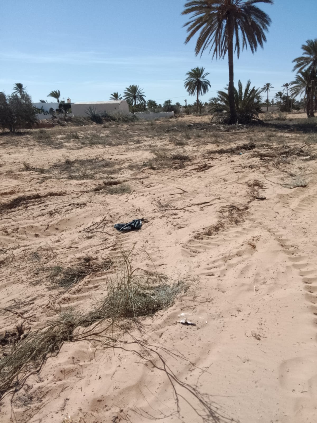 Djerba - Midoun&nbsp;El Hadadda&nbsp;Terrain&nbsp;Terrain nu&nbsp;Terrain a hededda arkou