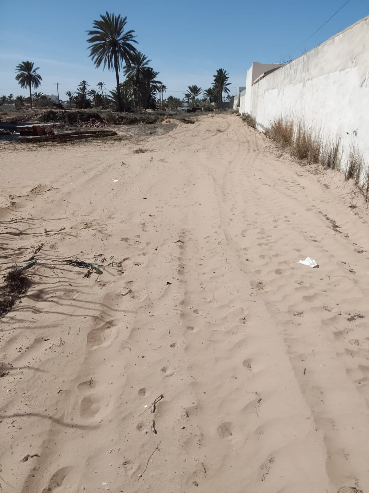 Djerba - Midoun&nbsp;El Hadadda&nbsp;Terrain&nbsp;Terrain nu&nbsp;Terrain a hededda arkou