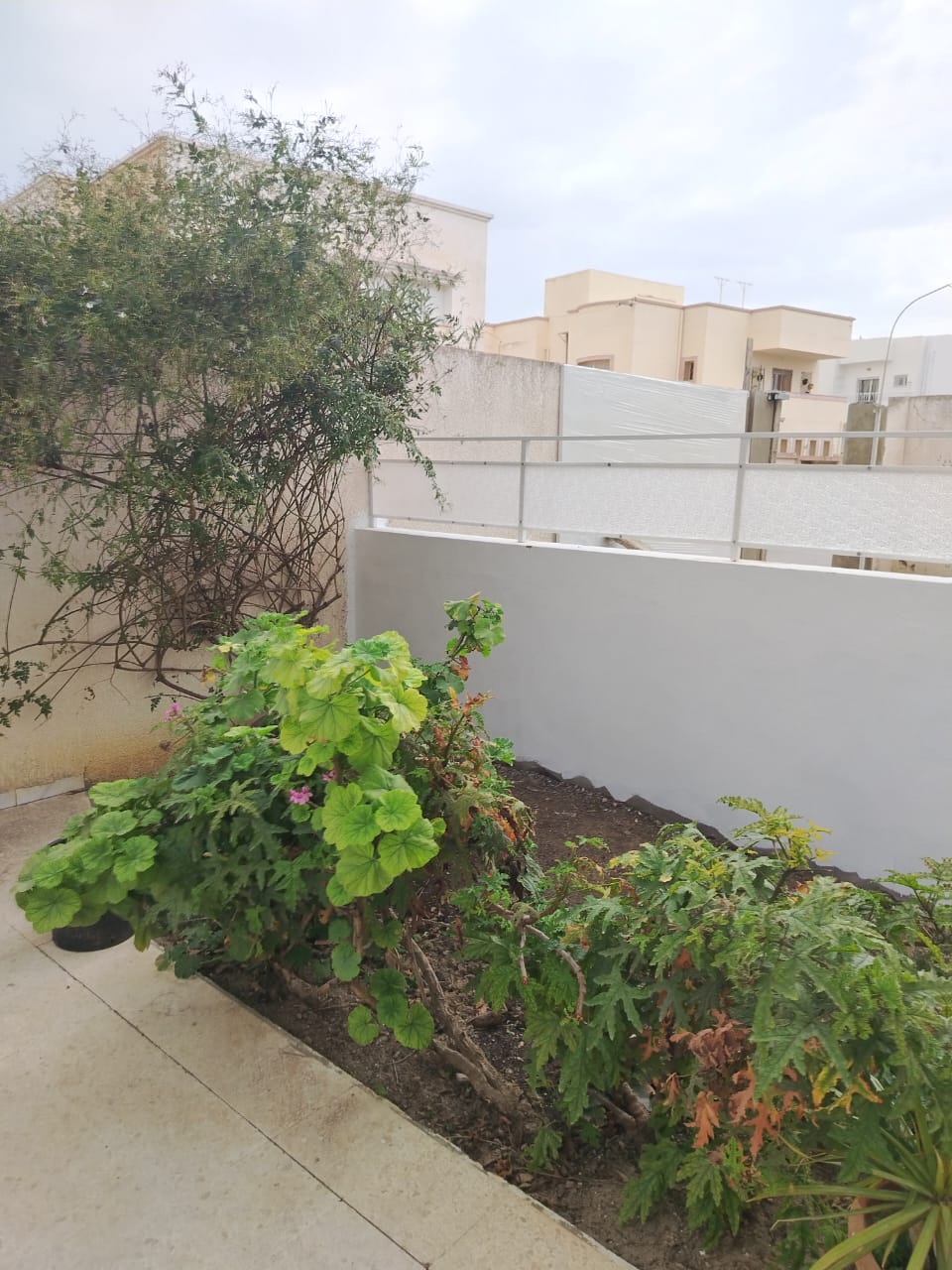 Location&nbsp;Appart. 5 pi�ces+