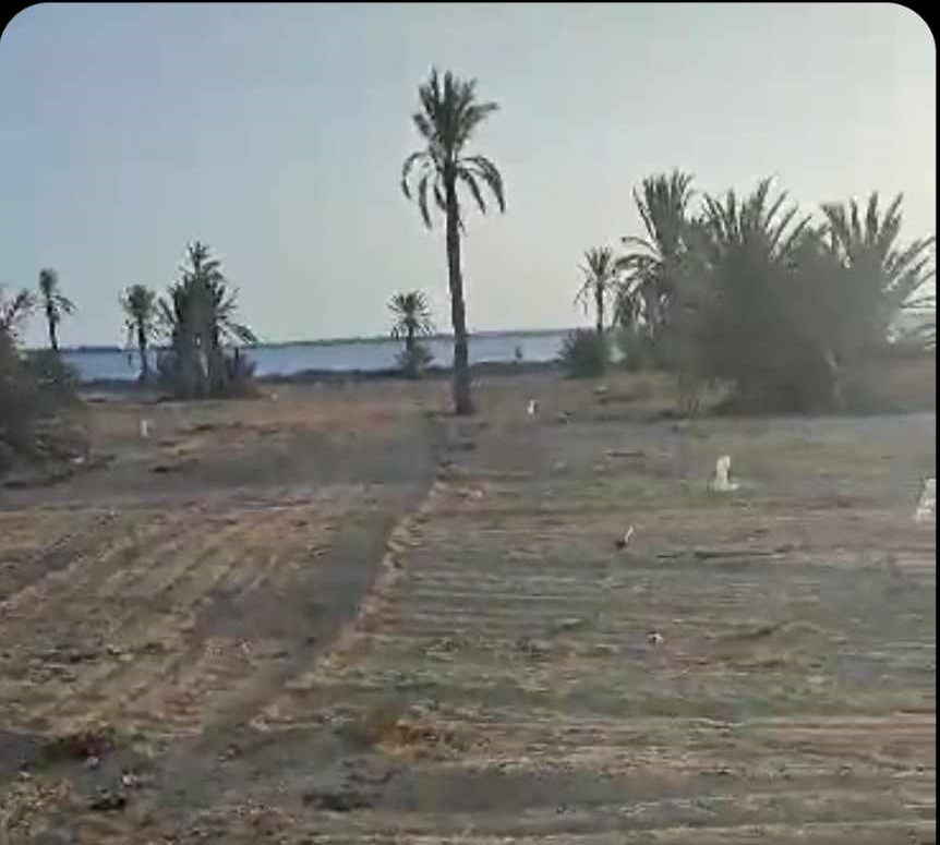 Terrain&nbsp;Terrain nu