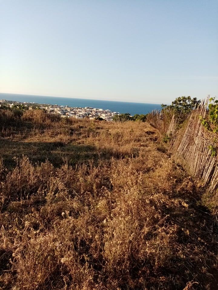 Ras Jebel&nbsp;Rafraf&nbsp;Terrain&nbsp;Terrain nu&nbsp;Terain de 3120 m2 a rafraf plage l'ahmeri