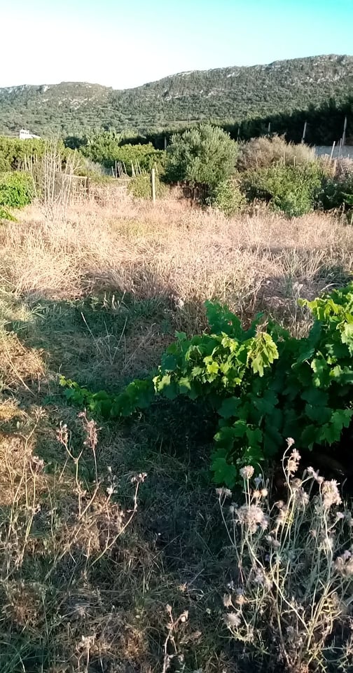 Terrain&nbsp;Terrain nu