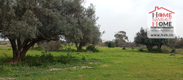 Tebourba&nbsp;Tebourba&nbsp;Terrain&nbsp;Terrain agricole&nbsp;Terrain agricole agrona � tebourba